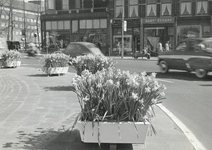 502885 Afbeelding van bloembakken met narcissen op de rotonde bij de Smakkelaarsbrug te Utrecht.